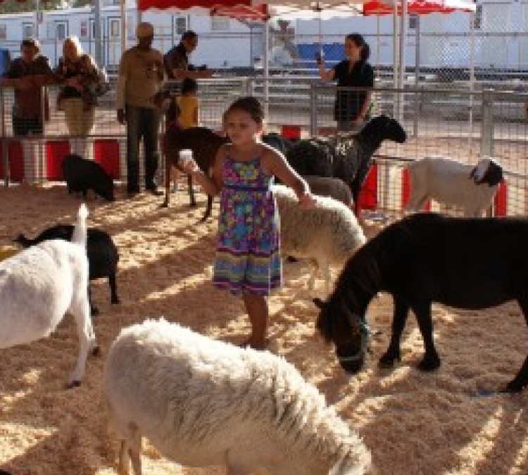 Freckle Farm Petting Zoo (Mobile Service ONLY) (Coolidge,&nbspAZ)